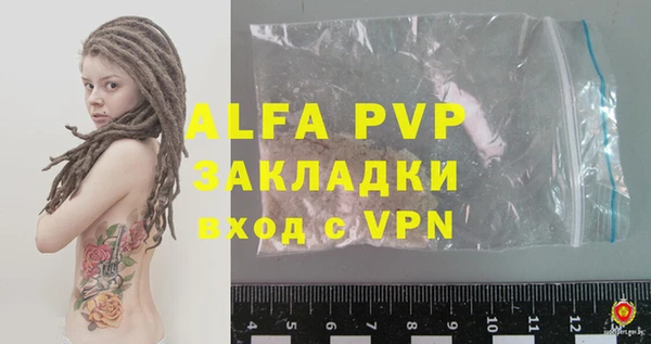 трава Белокуриха
