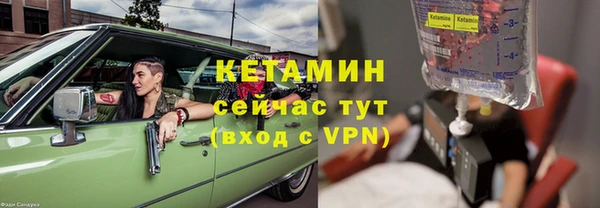 трава Белокуриха