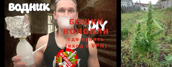 трава Белокуриха