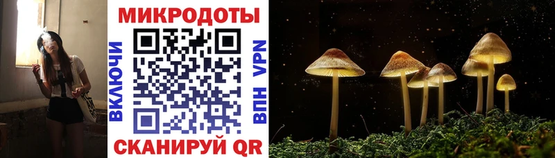 Галлюциногенные грибы Magic Shrooms  Шацк 