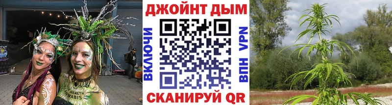 Бошки Шишки ГИДРОПОН Шацк